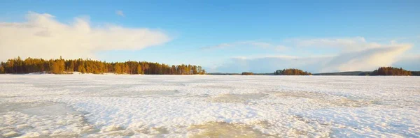 Lago Congelado Pinhal Coberto Neve Pôr Sol Textura Gelo Céu — Fotografia de Stock