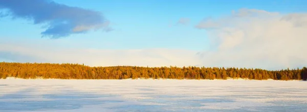 落日的时候 冰封的湖泊和白雪覆盖的松树林 冰的质感戏剧化的天空柔和的阳光宜人的冬季场景 环境保护 气候变化 生态旅游 圣诞节 — 图库照片