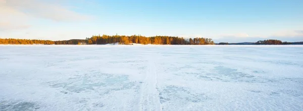 Zmrzlé Jezero Zasněžený Borový Les Při Západu Slunce Ledová Textura — Stock fotografie
