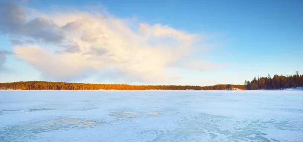 Zamarznięte Jezioro Pokryty Śniegiem Las Sosnowy Zachodzie Słońca Konsystencja Lodu — Zdjęcie stockowe