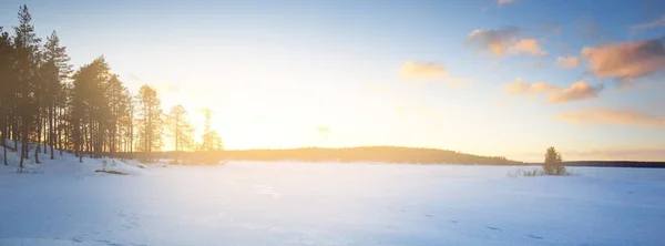 日没の凍った湖と松林 氷の質感 劇的な空 黄金の雲 冬の不思議の国 生態系 気候変動 エコツーリズム クリスマス 新雪の中の人間の足跡 — ストック写真