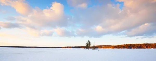 Lago Congelado Pinhal Coberto Neve Pôr Sol Textura Gelo Céu — Fotografia de Stock