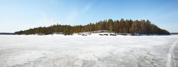 Lago Congelado Bosque Pinos Atardecer Textura Hielo Tractor Rastrea Cerca — Foto de Stock