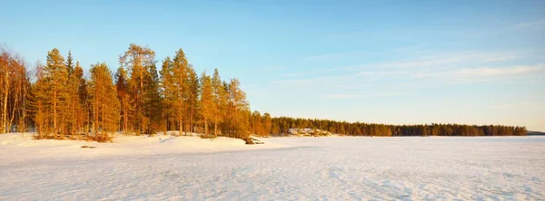 Zamarznięte Jezioro Pokryty Śniegiem Las Sosnowy Zachodzie Słońca Konsystencja Lodu — Zdjęcie stockowe