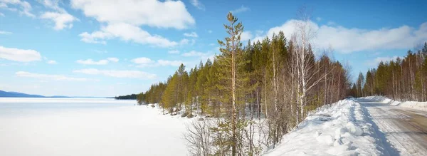 松の森を通って空の古いアスファルトの道路 高速道路 雪に覆われた山々 冬の風景 コラ半島 ロシア ルート 遠隔地 オフロード — ストック写真