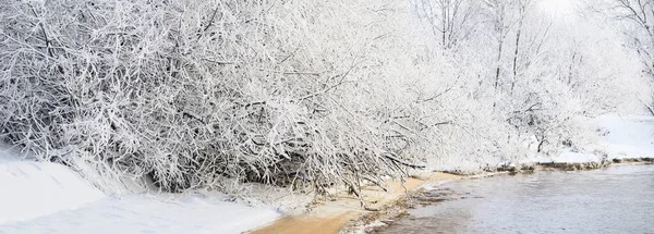 Árvores Cobertas Neve Parque Cidade Uma Vista Aterro Rio Férias — Fotografia de Stock