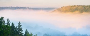 Kozalaklı bir ormanın ve sabah sisi bulutlarının içindeki nehrin rengarenk kırmızı, turuncu ve sarı ağaçlarının nefes kesici hava manzarası. Peri sonbahar manzarası. Gauja Ulusal Parkı, Sigulda, Letonya