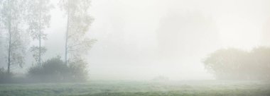 Gün doğumunda orman çayırında. Saf sabah ışığı, güneş ışınları, sis, sis. Arka planda ağaç siluetleri var. Valmiera, Letonya. Atmosferik manzara. Doğa, çevre koruma, ekoloji