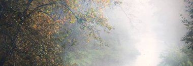 Gün doğumunda karanlık ormanda bir nehir. Saf sabah ışığı, güneş ışınları, sis, sis. Yaşlı ağaçlar, yosunlar, bitkiler. Valmiera, Letonya. Uzun pozlama. Atmosferik sonbahar manzarası. Sonbahar mevsimi, ekoloji