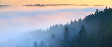 Sabah sisi bulutları arasında köknar ağacı ormanının ve nehrin nefes kesici manzarası. Peri sonbahar manzarası. Gauja Ulusal Parkı, Sigulda, Letonya