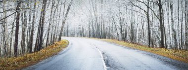 Yaprak döken ağaçların arasından kristal beyaz bir buzun içinde eski bir asfalt yol. Renkli altın yapraklar ve yerde taze kar. Letonya 'da kış başları. Idyllic manzara