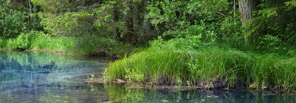 Krystalicznie Czyste Błękitne Jezioro Leśne Wiosna Odbicia Wodzie Wiecznie Zielone — Zdjęcie stockowe