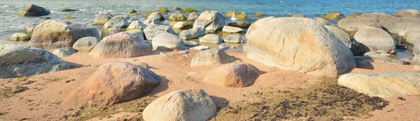 バルト海のロッキー海岸 古代の石を閉じる エストニアのカスム自然保護区 生態系 環境保全 エコツーリズムの概念 — ストック写真