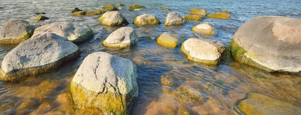 Costa Rochosa Mar Báltico Pedras Antigas Perto Primavera Reserva Natural — Fotografia de Stock