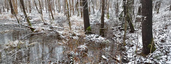 View Frozen River Snow Covered Deciduous Forest Reflections Water Natural — Stock Photo, Image