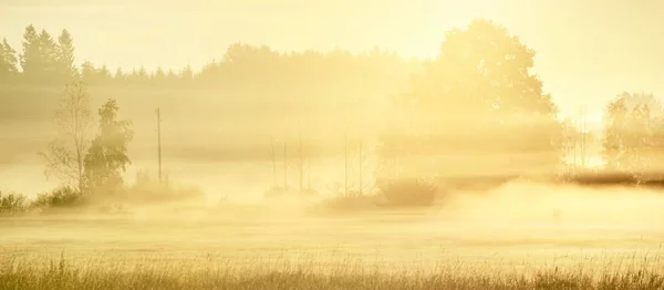 Złote Pole Las Liściasty Chmurach Porannej Mgły Wschodzie Słońca Sylwetki — Zdjęcie stockowe