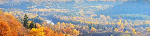 Häpnadsväckande Panoramautsikt Över Färgglada Röda Orange Och Gula Träd Blandad — Stockfoto