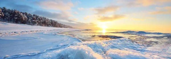 日落时冻结的波罗的海海岸全景 冰片的特写 覆盖着积雪的针叶林背景 多彩的云彩 水的对称反射 拉脱维亚 — 图库照片