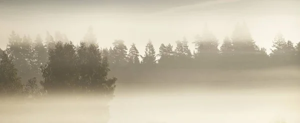 Campo Dourado Floresta Decídua Nuvens Nevoeiro Matinal Nascer Sol Sílhuetas — Fotografia de Stock