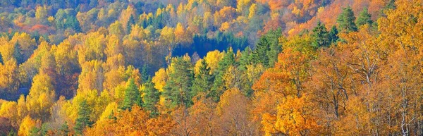 Hisnande Panoramautsikt Över Kullarna Färgglada Röda Orange Och Gula Träd — Stockfoto
