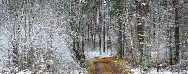 Single Lane Shape Rural Road Deciduous Trees Crystal White Hoarfrost — Stock Photo, Image