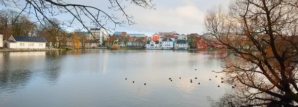 Patos Estanque Parque Público Casas Fondo Stavanger Rogaland Noruega Destinos — Foto de Stock