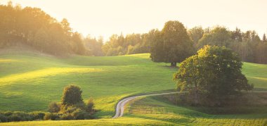 Gün batımında yeşil tepeler ve çayırların (tarımsal alanlar) resimli panoramik manzarası. Arka planda orman var. Idyllic kırsal kesim. Pastoral manzara. Yeni Zelanda. Turizm, doğa ekolojisi