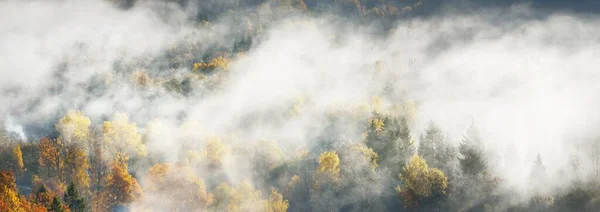 Valle Del Río Gauja Bosque Dorado Una Nube Espesa Misteriosa — Foto de Stock