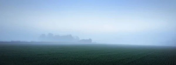 日出时用拖拉机覆盖农田 晴朗的蓝天 秋天的大气景观 田园诗般的乡村风景 纯洁的自然 — 图库照片