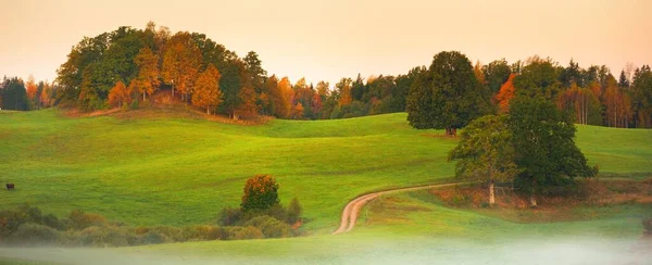 Güneşin doğuşuyla birlikte yeşil tepeler, tarlalar ve ormanın içinden geçen dolambaçlı kırsal bir yolun resimli hava görüntüsü. Meşe, ladin, huş ağacı. Renkli altın, kırmızı, turuncu yapraklar. Doğa, mevsimler, sonbahar