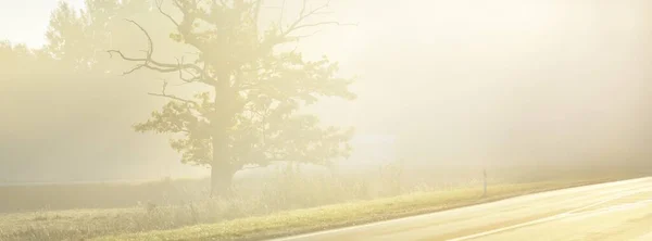 Panoramic View Highway New Asphalt Road Field Forest Fog Sunrise — Stock Photo, Image