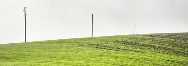 Panoramiczny Widok Wzgórza Zielonym Polu Uprawnym Zbliżenie Linii Elektrycznej Dramatyczne — Zdjęcie stockowe