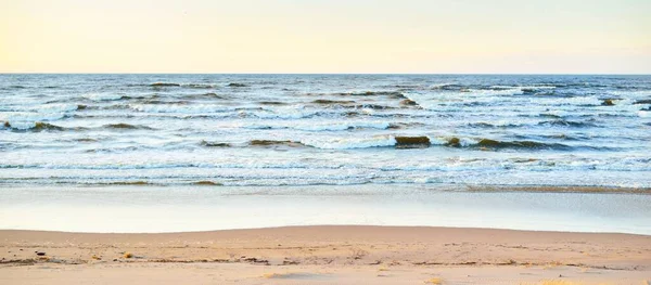 Вид Побережье Балтийского Моря Закате Песок Дюны Растения Крупным Планом — стоковое фото