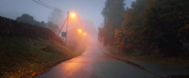 Yağmurlu bir sonbahar gününde, ağaçların ve köyün içinden geçen, boş, asfalt bir köy ve sisli bir yol, yakındaki sokak fenerleri, kırmızı ışık. Yolculuk, ulaşım, iletişim, sürüş