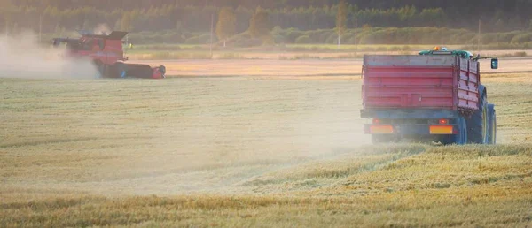 Kombajn Kombajn Pracujący Roli Zachodzie Słońca Pył Mgła Złote Światło — Zdjęcie stockowe