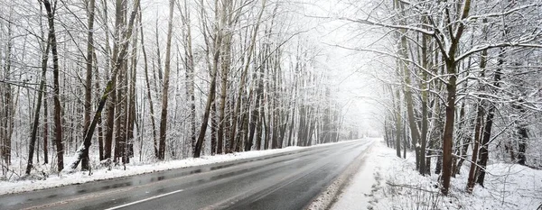 清洗后的白雪覆盖的空旷公路 新沥青路 在霜冻中的落叶树的小巷 冬天的仙境圣诞假期 旅游目的地 危险的驾驶 全景视图 — 图库照片