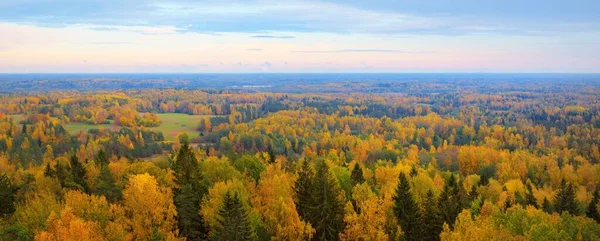 Pittoresk Panoramisch Uitzicht Het Kleurrijke Herfstbos Gouden Rode Oranje Gele — Stockfoto