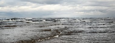 Fırtına sırasında Baltık Denizi 'nin kumlu kıyılardan (kum tepeleri) panoramik görüntüsü. Koyu kümülüs bulutlu dramatik bir gökyüzü. Dalgalar, su sıçramaları. Deniz Burnu. Hava, iklim değişikliği, doğa