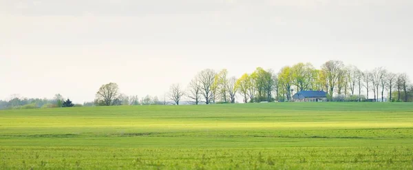 Campo Agricolo Verde Dopo Temporale Pioggia Cielo Drammatico Con Nuvole — Foto Stock