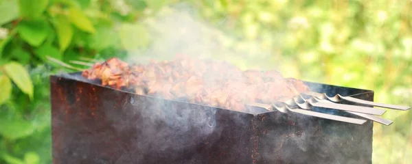 炭火焼き鶏肉 金属串 煙のクローズアップ 伝統的な白人料理 健康的な食事 有機食品 夏休みのテーマ — ストック写真