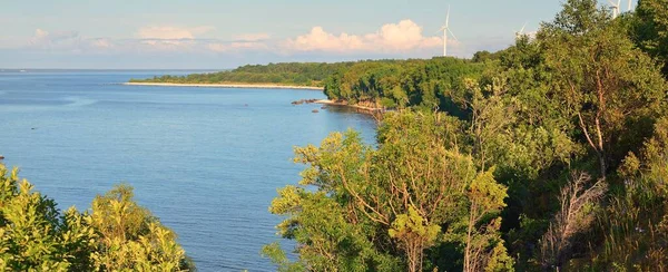 Aerial View Cliffs Baltic Sea Shore Paldiski Green Trees Close — Stock Photo, Image