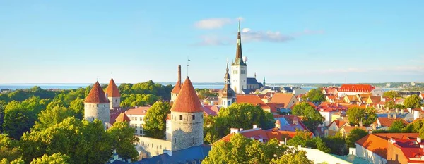 夏日阳光灿烂的塔林古城的空中风景 圣奥拉夫教堂的特写全景城市景观 旅游指南 观光主题 爱沙尼亚 — 图库照片