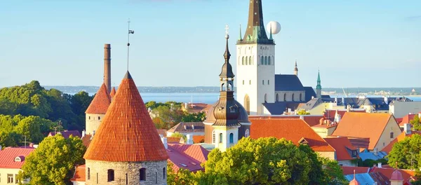 晴れた夏の日にタリン旧市街の空中ビュー 聖オラフ教会の閉鎖 パノラマの街並み 旅行ガイド 観光テーマ エストニア — ストック写真