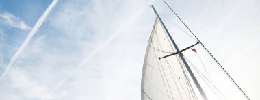 Beyaz yat yelkenlerinin alçak açılı görüntüsü. Sirus bulutları ve uçak izleri olan açık mavi bir gökyüzü. Hollanda