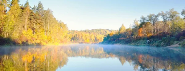 Golden Birch Tree Forest River Morning Fog Clear Blue Sky — Stock Photo, Image