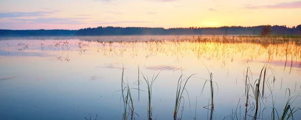 Waldsee Nebel Bei Sonnenuntergang Finnland Symmetriereflexionen Auf Dem Wasser Natürlicher — Stockfoto