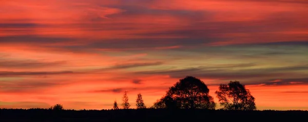 Épique Coucher Soleil Rouge Ciel Dessus Forêt Automne Paysage Nuageux — Photo