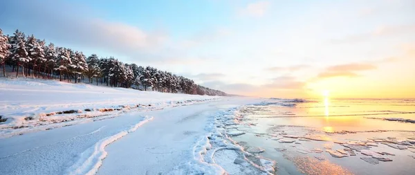 Panoramic View Frozen Baltic Sea Shore Sunset Ice Fragments Close — Stock Photo, Image