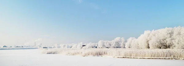 寒冷的河流和森林在寒冷的冬日里结霜 工厂在后面 拉脱维亚里加 燃料和发电 替代能源 环境破坏 全球变暖 — 图库照片