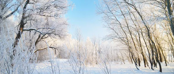 Köyde Karla Kaplı Köy Yolu Araba Insan Izleri Var Kış — Stok fotoğraf